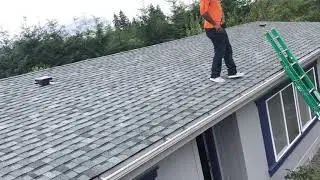 roof doctor ruferos perrones