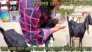 ছাগলের রোগ নিয়ে আলোচনা ও চিকিৎসা। chagoler rog er chikista