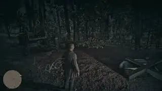 Red Dead Redemption 2 = Случайное событие 48 = Культ 02 = Лучше не роняй его