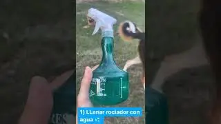 🐜 Adi&oacute;s a Las PLAGAS En Tus PLANTAS! S&uacute;per INSECTICIDA Casero