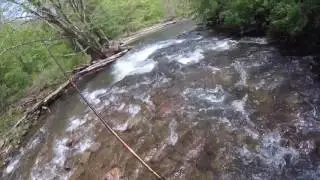 #13 -  Fishing Seneca WV - Fishing the top 100 Trout Streams in America