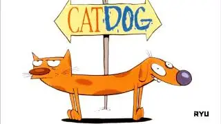 ‎