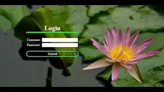 Login Form using HTML & CSS 🔥
