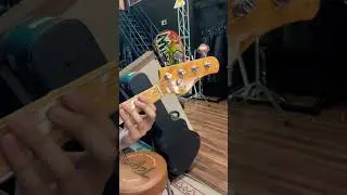 Baixo Tagima TW66 butterscotch Woodstock Passivo 4 Cordas #baixista #bassplayer #bassplayer #bass