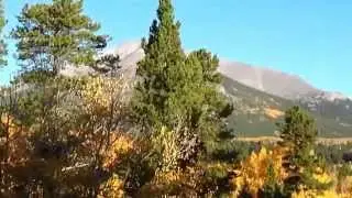 Allenspark Aspen Walk