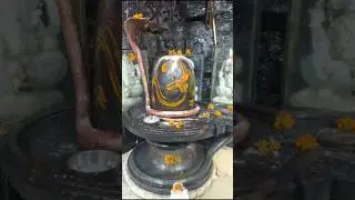 har har Mahadev 🙏#newposte #song #lovesong #yshortsviral #yshorts #yshnetworkmedia #ysrcp #yshorts_