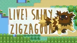 [LIVE!] Shiny Zigzagoon After 3,263 REs in Sapphire! (Full Odds)