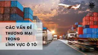 C&aacute;c vấn đề thương mại trong lĩnh vực &ocirc; t&ocirc;