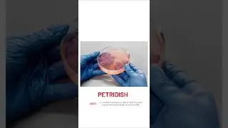 Medical laboratory equipments and their uses|Laboratory instruments and their uses.