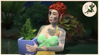 🧚‍♀️ On va envahir le monde des sims de fée ! | 100 baby challenge #1 | Sims 4 🧚‍♀️