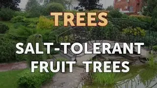 Salt-Tolerant Fruit Trees
