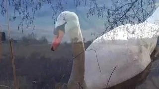 IL FIUME TOCE  il suo interessante percorso dai monti al lago