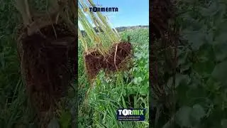 TORMIX +PALHA 318