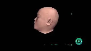 Look at the 3D Human Anatomy Table: Function and Features | MeCanMed