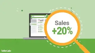 Grow Your Business With Seller Labs