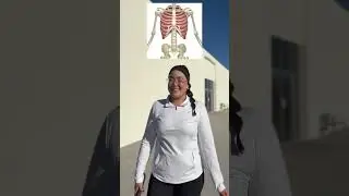 Vertebras Toracicas