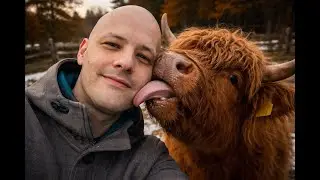 Edinburgh adventures & Highland fluffy cows ( Day 4 )