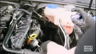 Pro-Line Drosselklappen-Reiniger von LIQUI MOLY (#5111)