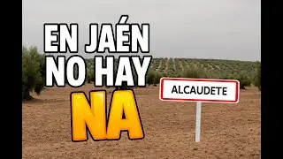 En JA&Eacute;N no hay NA. Alcaudete.