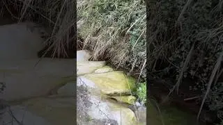 Is There Treasure In This Tiny River? Yes, clean water #israelwalking #trevel
