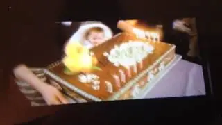 Sophie's 1st Birthday Ducks Cake