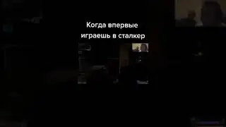 сталкер 20200