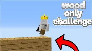 BEDWARS Wood Only Challenge! (Solo Bedwars)
