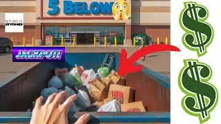 MAJOR DUMPSTER DIVE SCORE!!   LOOK!!