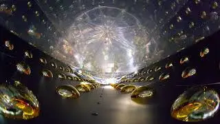Neutrinos: The Universe's Most Abundant, Least Understood Particle