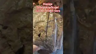 Riesige Schneekopfkugel aus der wilden Gera 😀 #gemstone #nature #stone st