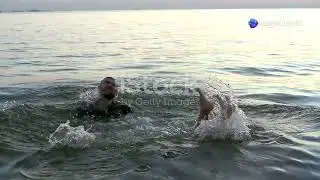 Thrilling Escape  Wolves to Sharks! (AI Video)