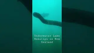 Lake Wakatipu in New Zealand