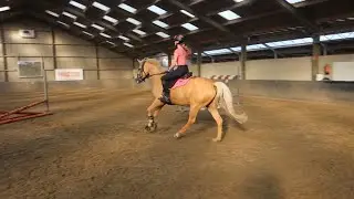 Trainen met Bella Blondie en Boris - Weekvlog 2/2 - * Hart voor Paarden *