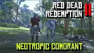 Red Dead Redemption 2 Neotropic Cormorant Location