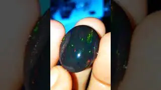 Black Opal Banten Solid Jumbo.dim.25*20*7 ml
