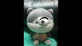 iFunFace Video