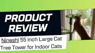 55 Inch Large Cat Tree Tower for Indoor Cats REVIEW!