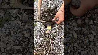 #shorts #agriculture #farming2024 #satisfying #machine #shot #tools  #EliteShortsUnleashed #6069