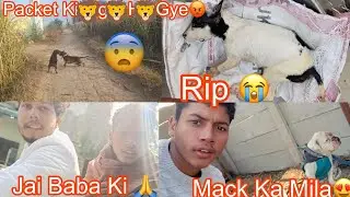Rip😭😭 apna Kamra per lenter gir Gaya@RitikDogKennel177 