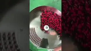 Capsule tablet counting packaging machine, pharmaceutical products