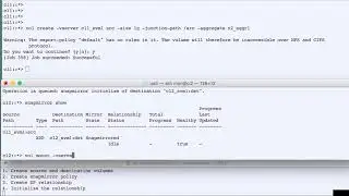 NetApp ONTAP DataProtection with SnapMirror 2