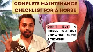Everyday Horse Maintenance Checklist! DO NOT Buy a Horse Without Knowing These 5 Things!!