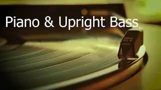 Quiet Piano & Upright Bass Lofi 🎹 | No Drums Jazz Lofi for Study, Work, Focus