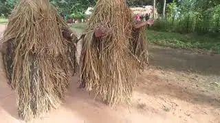 Wiji ijaso kaki Tainyradi Reamytxi kaki   aldeia Hawalo Santa Isabel 11/03/22