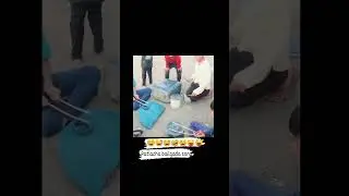 patlancha bailgada banjo party  chotu boys 🔥🔥