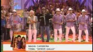 MAGIA CARIBEÑA 