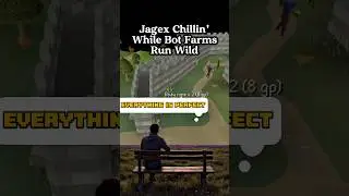 Bot Problem Runescape