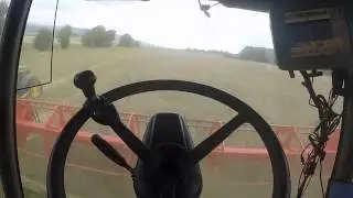 Rapsdrusch 2016 mit Lexion 540