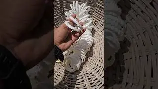 How are bangles made from conch shells in the factory?