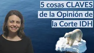 RESUMEN: Opinión Consultiva Emergencia Climática - Corte IDH